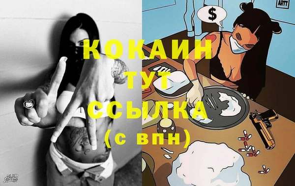 спиды Калининец