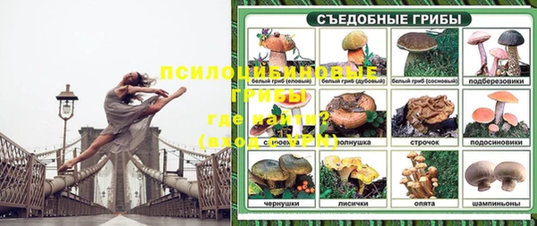 каннабис Кущёвская