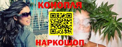 индика Жуковский
