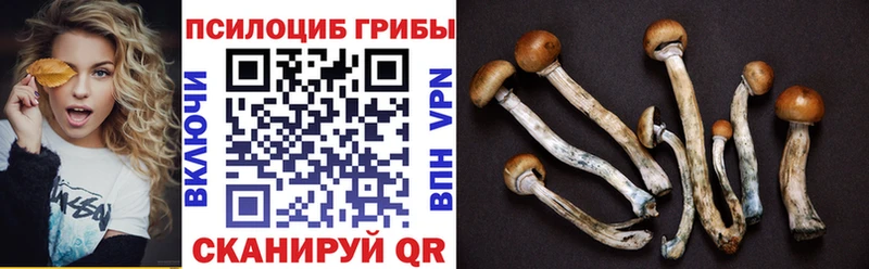 Галлюциногенные грибы ЛСД  купить наркотики сайты  Дальнереченск 