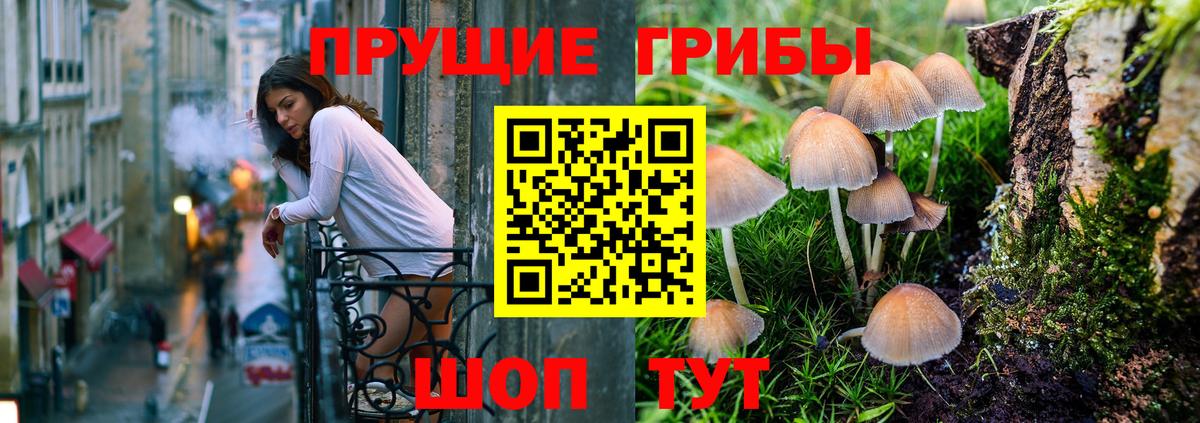 Дальнереченск  Псилоцибиновые грибы MAGIC MUSHROOMS  Вход с VPN 