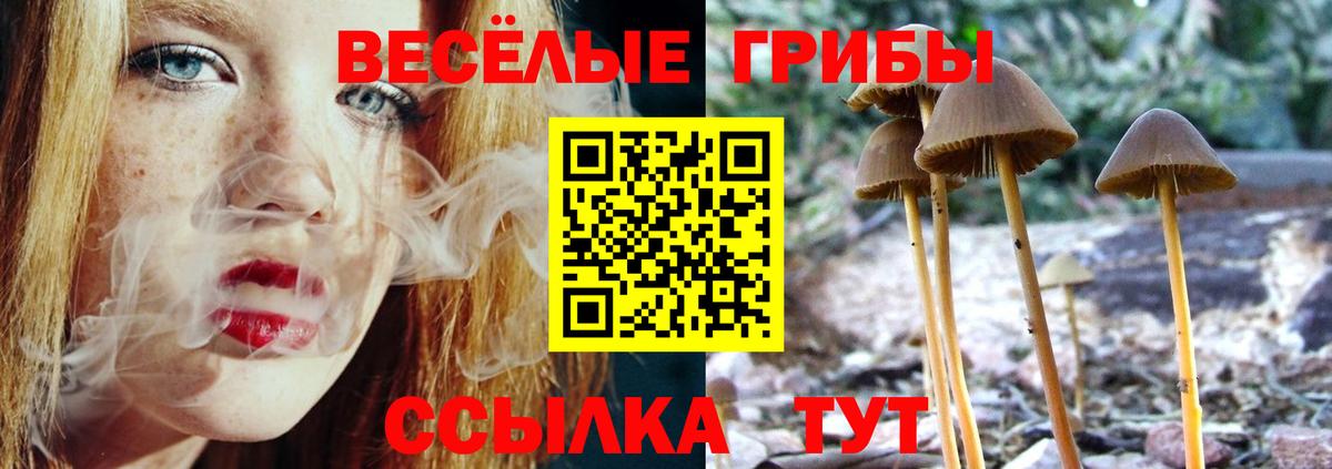 Галлюциногенные грибы мухоморы  Галлюциногенные грибы MAGIC MUSHROOMS  Дальнереченск 