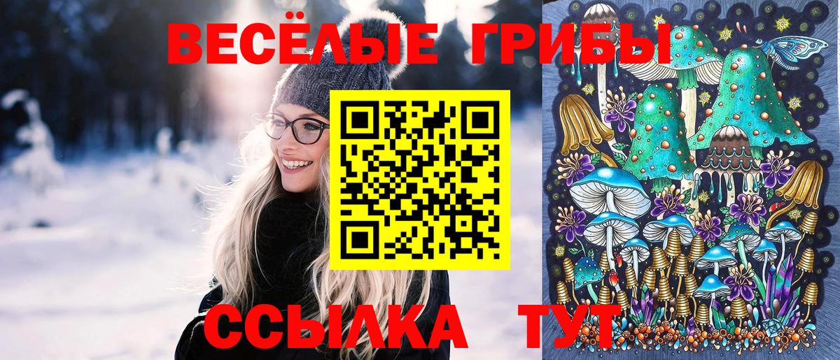 Псилоцибиновые грибы Cubensis Дальнереченск